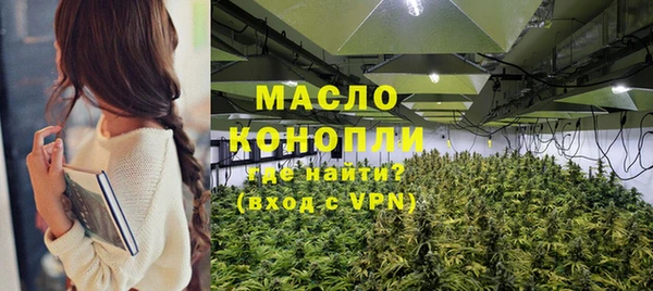 твердый Бородино