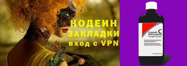 твердый Бородино