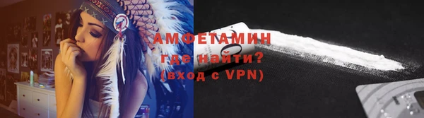 твердый Бородино
