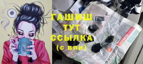 твердый Бородино