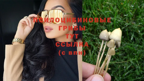 твердый Бородино