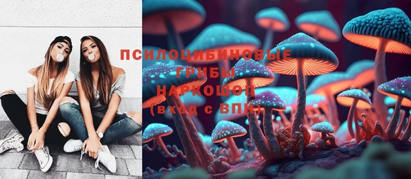 твердый Бородино