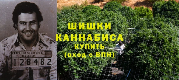 твердый Бородино