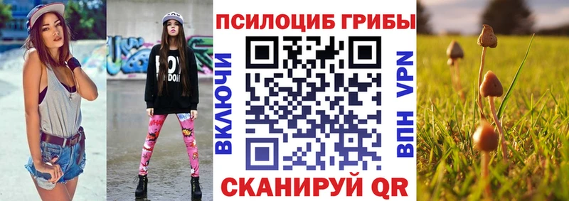 mega ТОР  Тулун  Галлюциногенные грибы GOLDEN TEACHER 